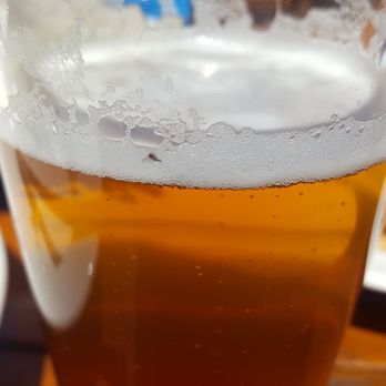 Summit House Restaurant - Bug served in my mom's beer after she said she had a chip in her glass. The server just re-poured it. No idea if glass shards are in it. - American Near Me - Enumclaw, Washington