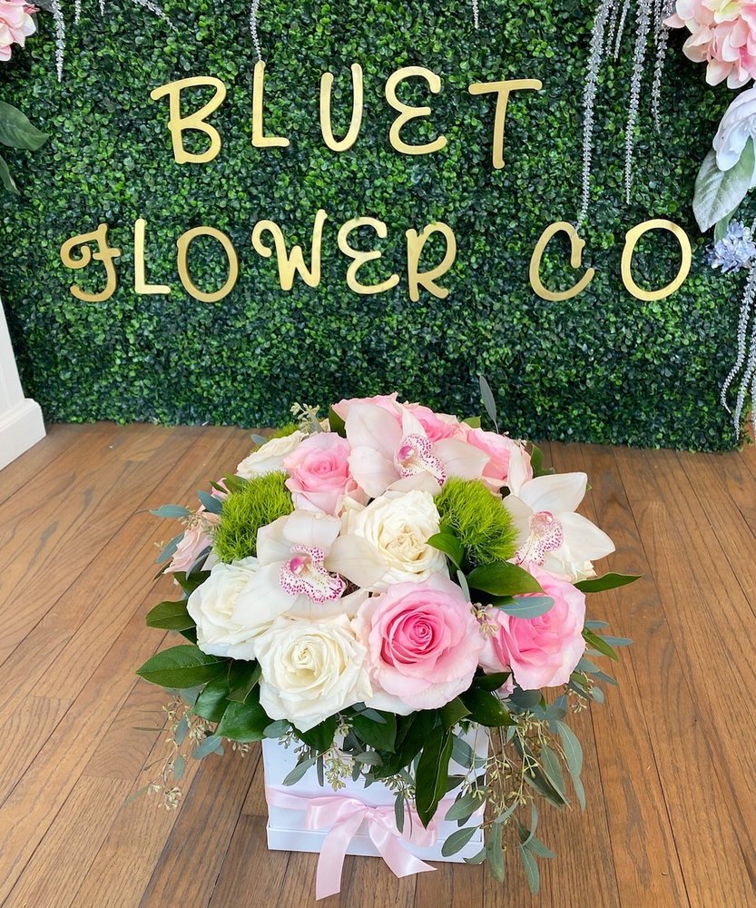 BLUET FLOWER Updated September 2024 4 W Shore Trl, Sparta, New