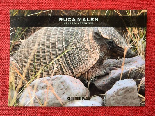 Bodega Ruca Malen by null