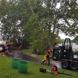 Kelley Tree Service 83 Photos 68 Reviews Tree Services 6 Broadway Beverly Ma Phone Number