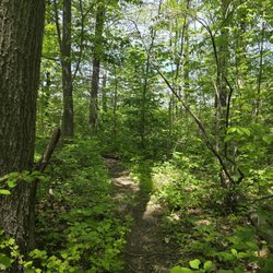 Lake Kegonsa State Park - Trail