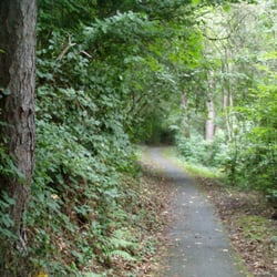 Baurat-Scherman-Weg