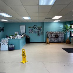 Dirty Hairy Dog Wash