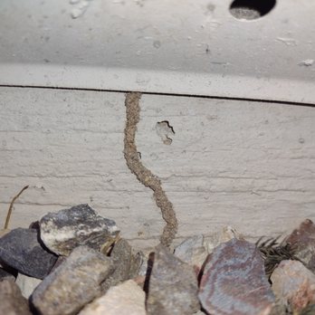 Red Rock Pest Control - Termite tube on foundation. We provide termite inspection and treatment services! - Pest Control Near Me Red Rock Pest Control - Termite tube on foundation. We provide termite inspection and treatment services! - Pest Control Near Me