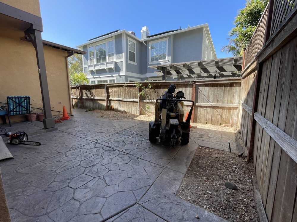 Crew removing and hauling tree material