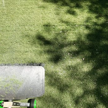 Dino Turf Cleaning - a mower mowing the lawn - Lawn Services Near Me Dino Turf Cleaning - a mower mowing the lawn - Lawn Services Near Me