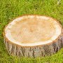 Photo of G Professional Tree Service