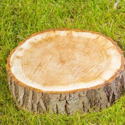 G Professional Tree Service