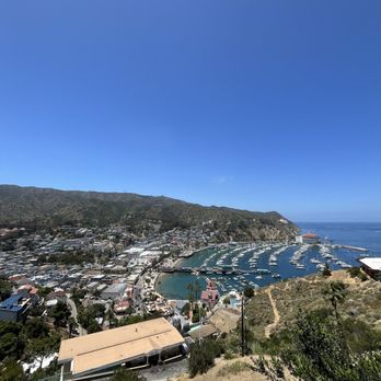 Catalina Island - Local Flavor Near Me Catalina Island - Local Flavor Near Me