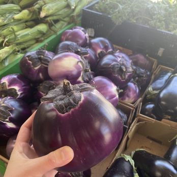 Pole Green Produce - a hand holding a purple eggplant - Grocery Near Me - Mechanicsville, Virginia