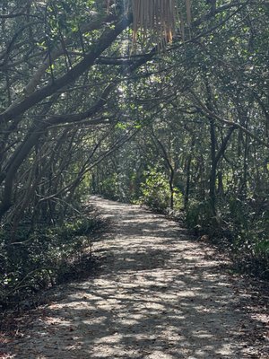 Weedon Island Preserve by null