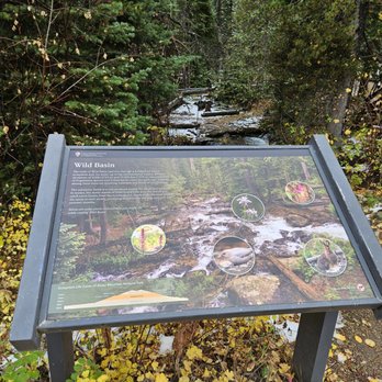 Wild Basin - Informational sign - Hiking Near Me - Allenspark, Colorado