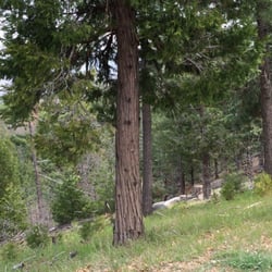 Cabin Oasis - Hiking trail