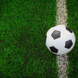 Houston Wolves Soccer Club