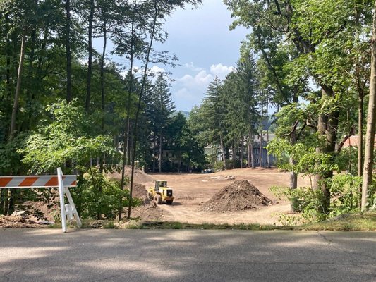Forest Hills Cemetery by null