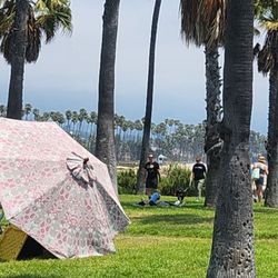 The Santa Barbara Arts and Crafts Show