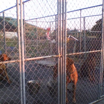 Multi Aquaculture Systems - Did I mention the hounds? - Seafood Near Me - Amagansett, New York Multi Aquaculture Systems - Did I mention the hounds? - Seafood Near Me - Amagansett, New York