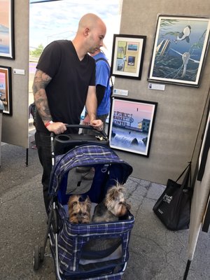 Sequim Lavender Festival by null