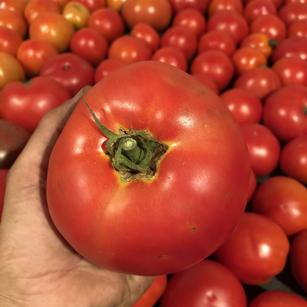 Iowa Grown Market Logo