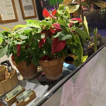 Beautiful Spa - Massage Near Me - Palm Springs, California Beautiful Spa - Massage Near Me - Palm Springs, California