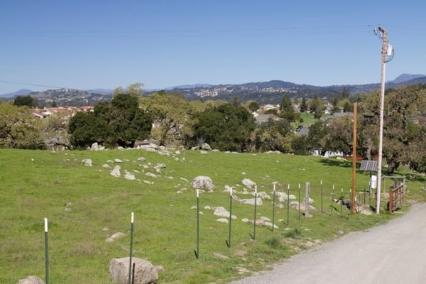 Taylor Mountain Regional Park by null