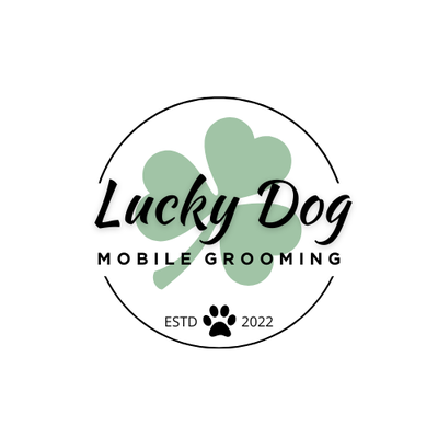 The 12 Best Pet Groomers in Singapore (From SGD$25/project)