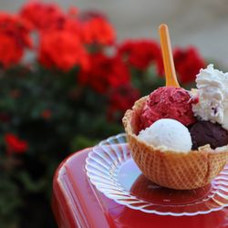 Fatamorgana Gelato - Acai, Raspberry, Coconut Bowl