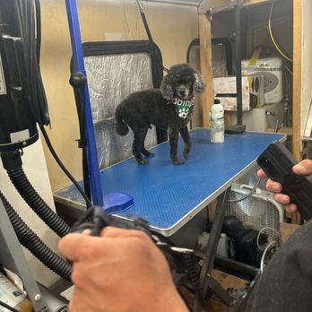 Christine Eide Grooming - Pet Groomers Near Me Christine Eide Grooming - Pet Groomers Near Me