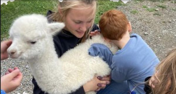 Self Guided Tours - On your tour you will discover a lot of different animals besides Alpacas! We have several breeds of chickens, Peacocks, Giant Flemish Rabbits, Kune Kune pigs Laverne & Shirley, Murphy & Molsen the sheep, lots of goats,Emu's, Sobastapol Geese, 3 mini donkeys, Bert & Ernie our Mini Highland Cows, Martin & Cusco our Suri Llamas, Sebastian our Sulcata Tortoise and Myrtle our Russian Tortoise and 5 horses. Self Guided Tours - On your tour you will discover a lot of different animals besides Alpacas! We have several breeds of chickens, Peacocks, Giant Flemish Rabbits, Kune Kune pigs Laverne & Shirley, Murphy & Molsen the sheep, lots of goats,Emu's, Sobastapol Geese, 3 mini donkeys, Bert & Ernie our Mini Highland Cows, Martin & Cusco our Suri Llamas, Sebastian our Sulcata Tortoise and Myrtle our Russian Tortoise and 5 horses.