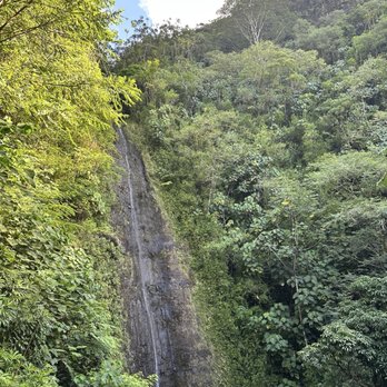 Mānoa Falls Trail - Hiking Near Me - Honolulu, Hawaii