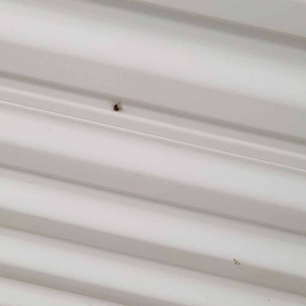 Extra Space Storage - Roaches - Self Storage Near Me - Rosenberg, Texas