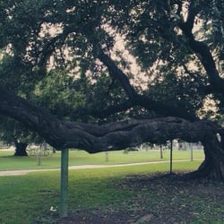Kuns Park