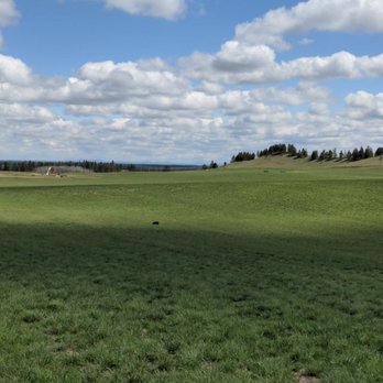 Catbird Stock Dog Training - Working pasture and hay field - Pet Training Near Me - Cheney, Washington