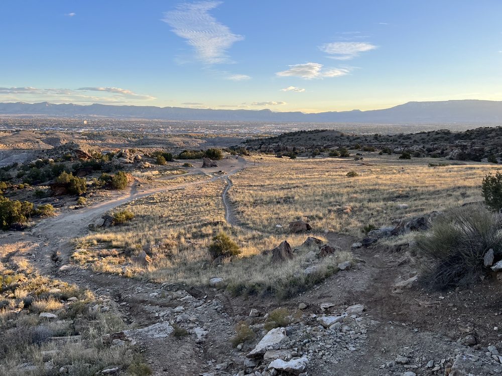 Social spots from Grassroots Cycles