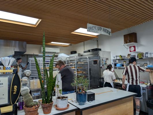 Pigeon Bagels by null