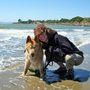 Photo of High Five Pet Sitting & Pet Photography