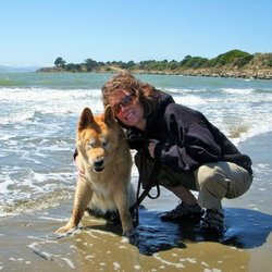 High Five Pet Sitting & Pet Photography