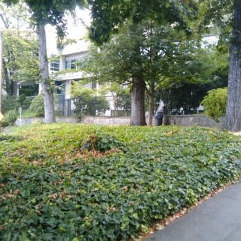 Kinnear Place - View from the east side... - Parks Near Me - Seattle, Washington Kinnear Place - View from the east side... - Parks Near Me - Seattle, Washington