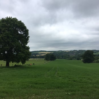 Yorkshire Sculpture Park - The rolling fields we walked across - Parks Near Me - Wakefield, XWY