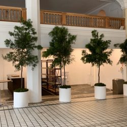 Plantman