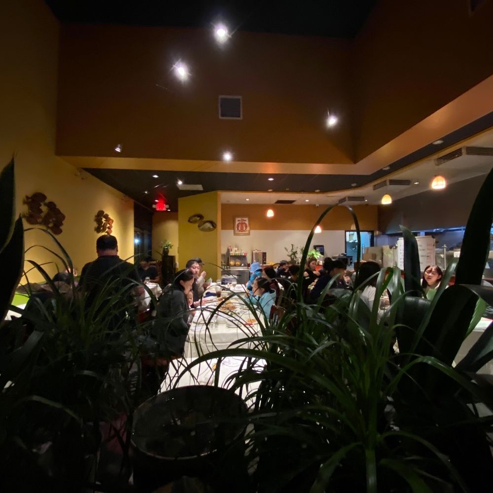 Mandarin Delight - a large group of people in a restaurant - Chinese Near Me - Dublin, California Mandarin Delight - a large group of people in a restaurant - Chinese Near Me - Dublin, California