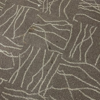 Avant Apartments - More poop left in the hallways - Apartments Near Me - Los Angeles, California