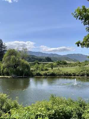 Icicle Ridge Winery by null