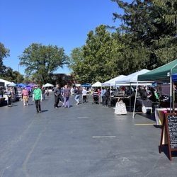 Theosophical Society - THEOSOFEST 2024