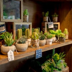Bucks Country Gardens - Decorations of all kinds can be found throughout our furniture showroom and boutique.