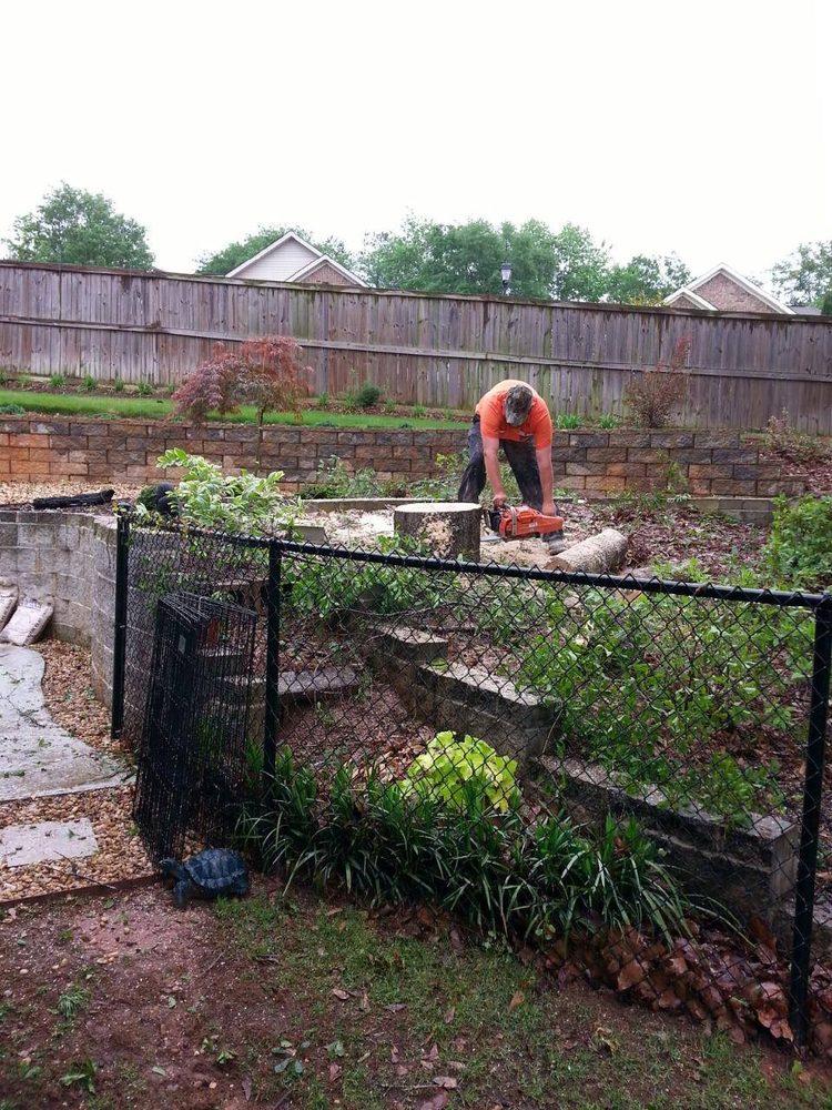 BEST TREE EXPERTS Updated July 2024 2327 US Hwy 41 N, Perry