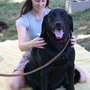 Photo of Heal Animal Massage