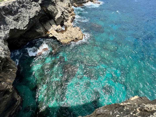 Reserva Natural Cueva del Indio by null