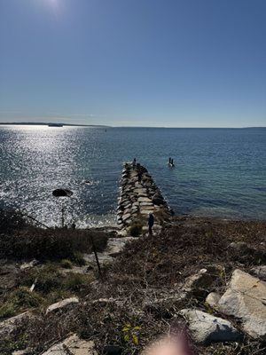 Nobska Lighthouse by null