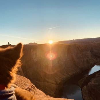 Horseshoe Bend - Dogs weren't too happy about being on the edge - Hiking Near Me - Page, Arizona